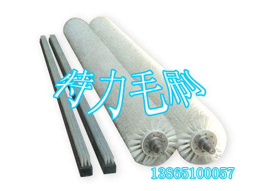 ���c����ëˢ