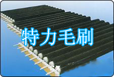 ��������ëˢ