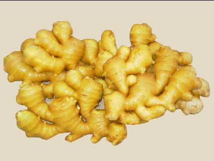 ������θ��ʳ