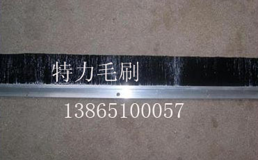 特力條形毛刷