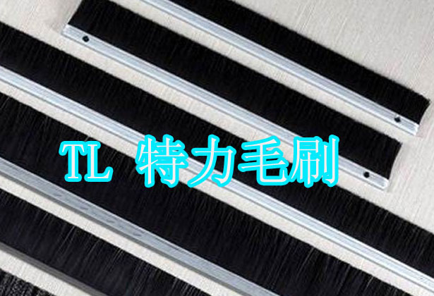 特力毛刷