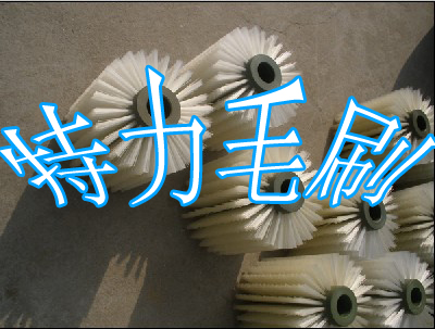 ��������ëˢ