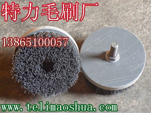 �����A��ëˢ