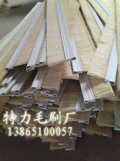 ��Щ�ИI(y��)��Ҫʹ�Ò���ˢ?���钁��l