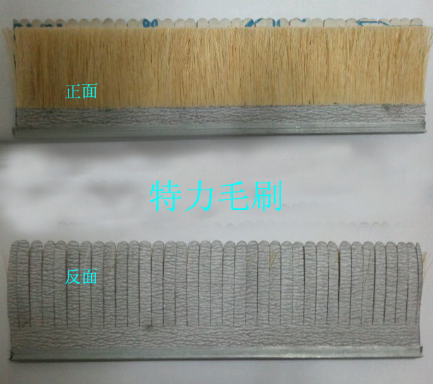 �Ҿ�ɰ������lˢ,����lˢ���a(ch��n)���ĺ�?���c����ëˢ�S